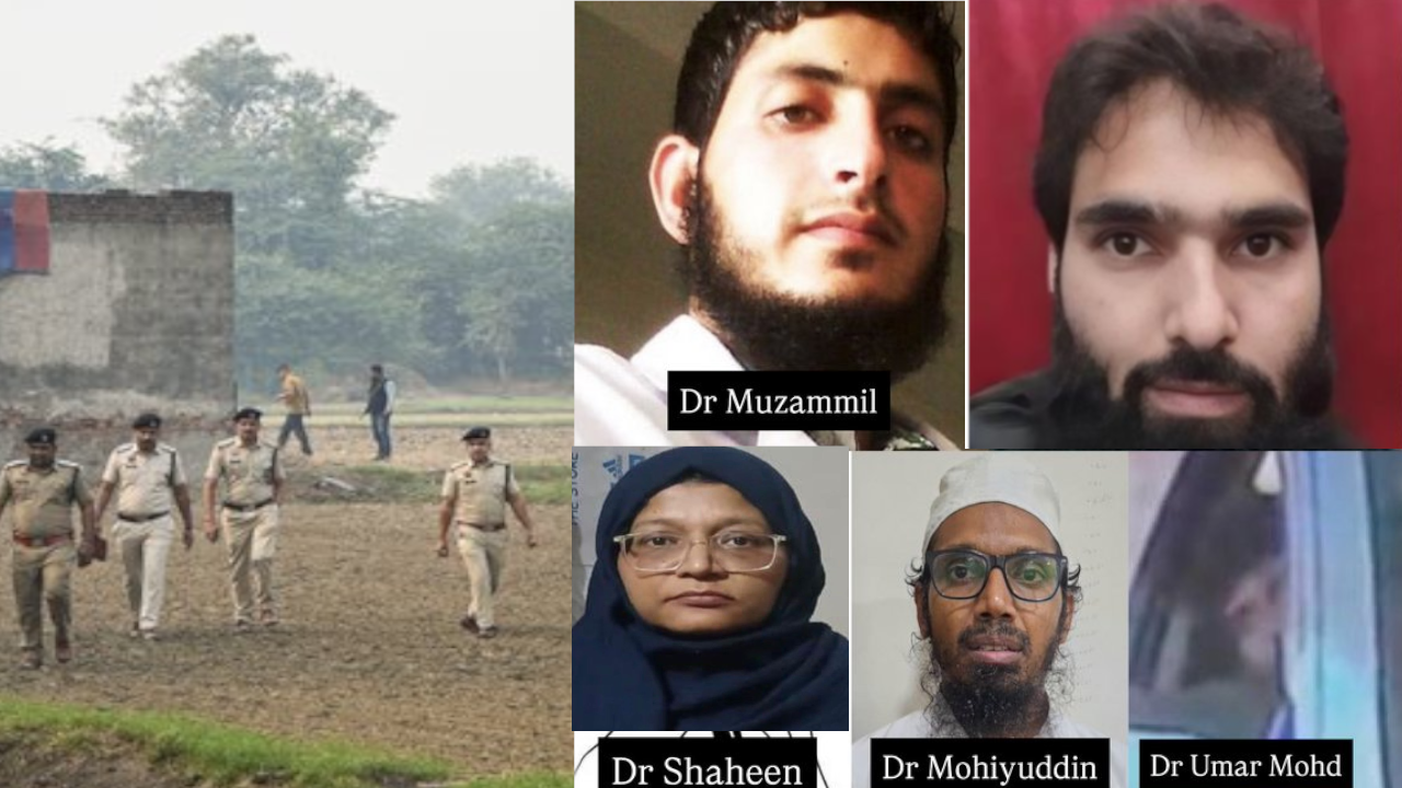 white collar terror module