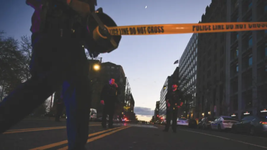 white house shooting .jpg