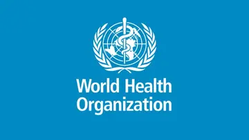 who asks report on Cough Syrap Tragedy