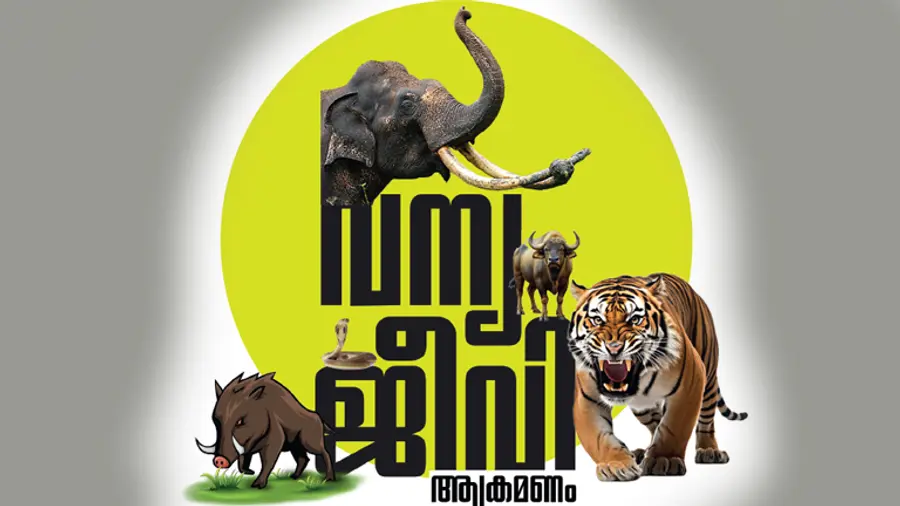 wild animal encounters