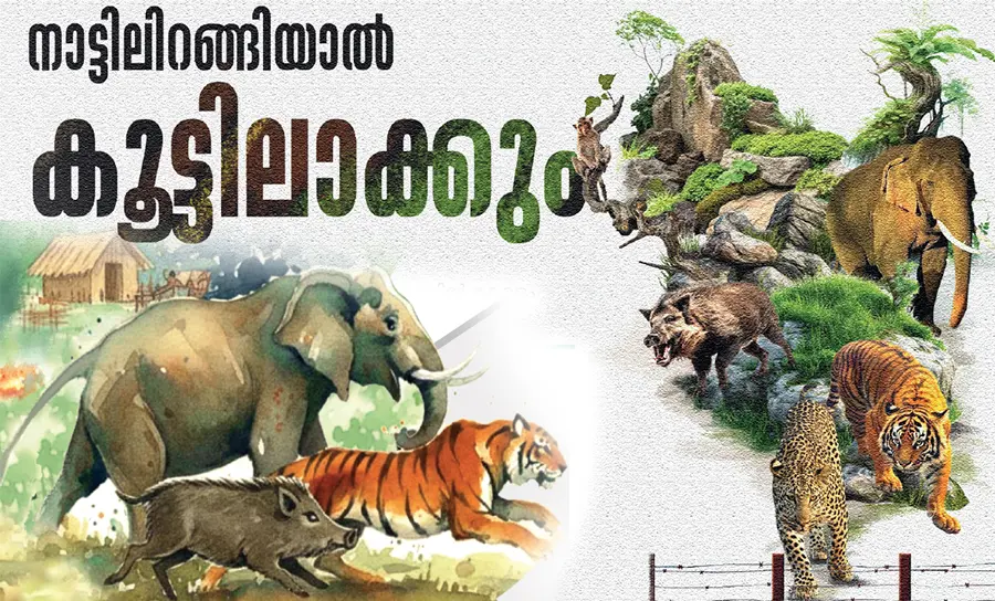 Wildlife Protection act the kerala model