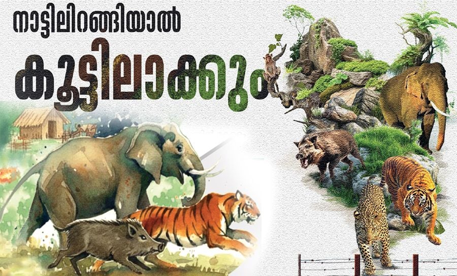 Wildlife Protection act the kerala model