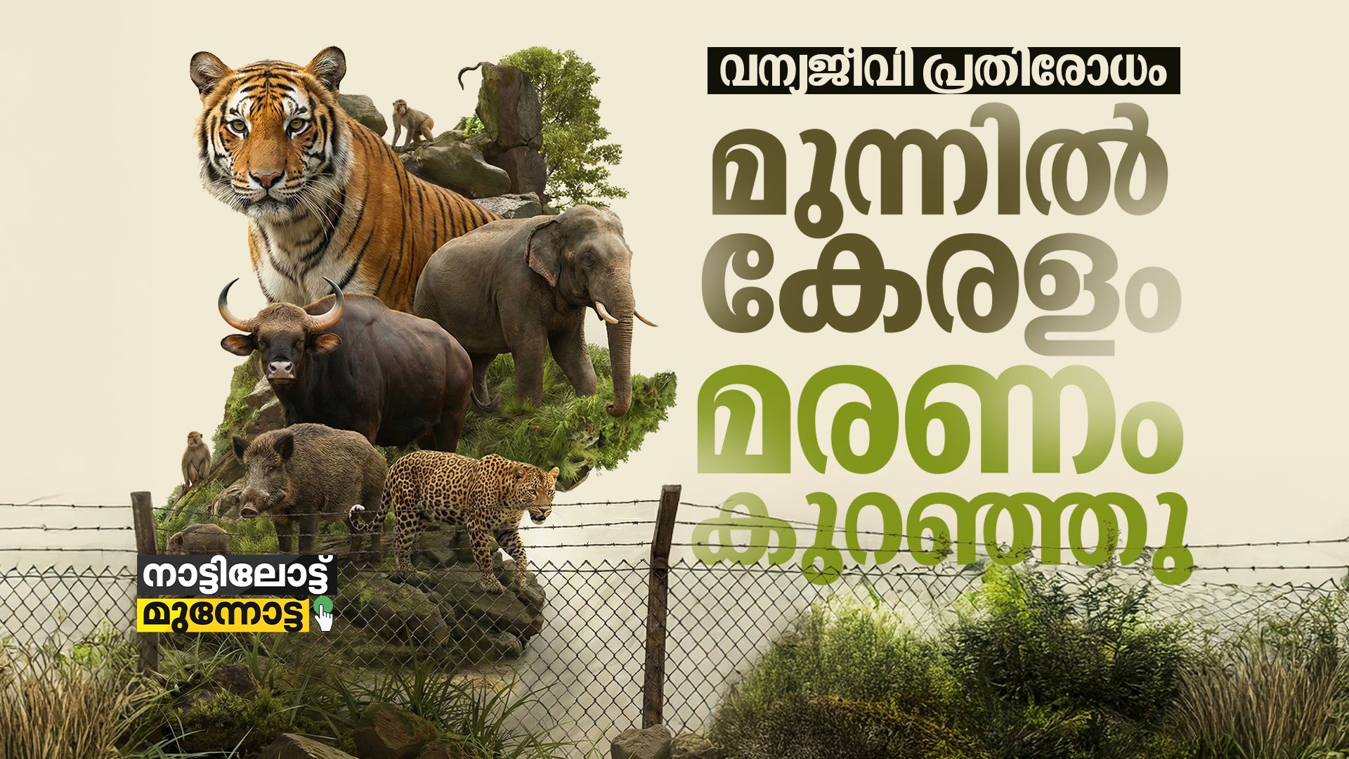 wild animals cover