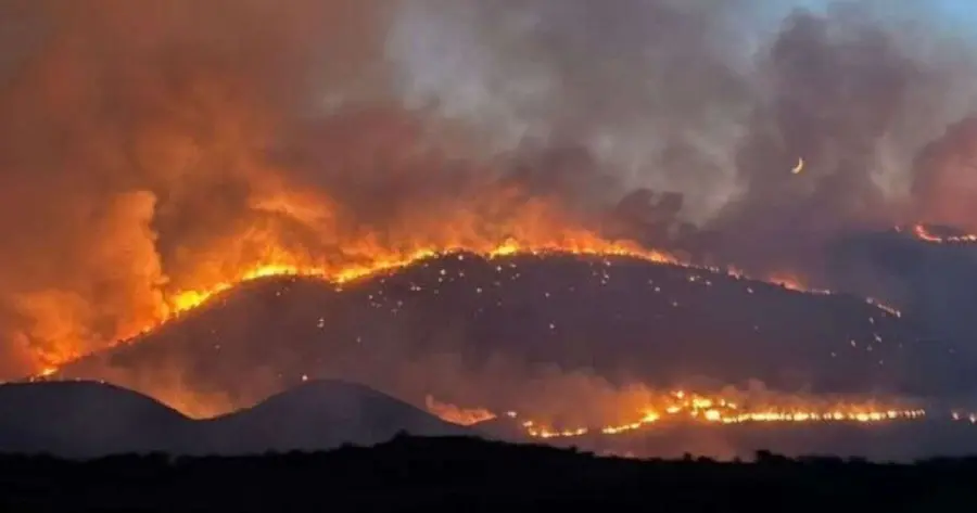 wild fire albania