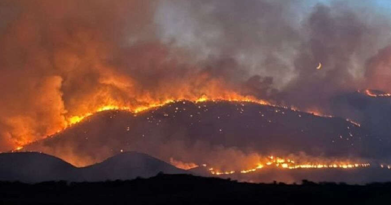 wild fire albania