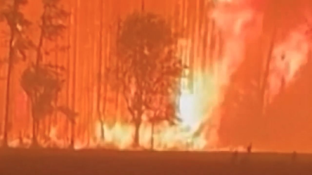 wildfire georgia
