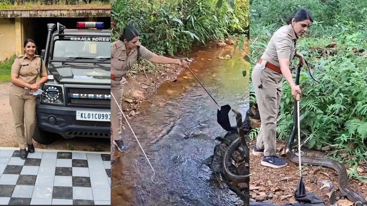 woman forest officer 